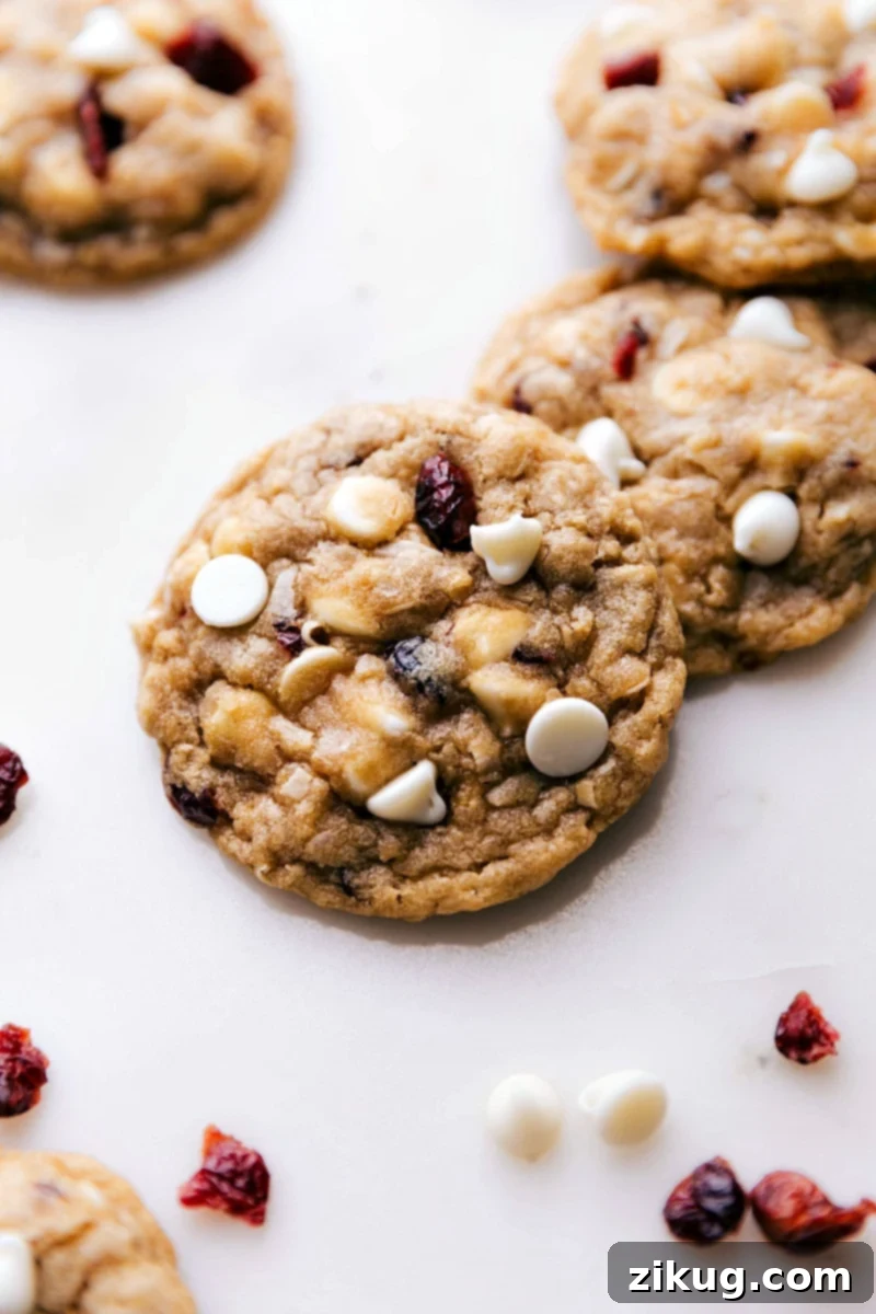 Warm Oatmeal Cranberry Cookies with White Chocolate - A Perfect Blend of Complementary Flavors Freshly baked oatmeal cranberry cookies with white chocolate chips and dried cranberries, straight from the oven and ready to delight.