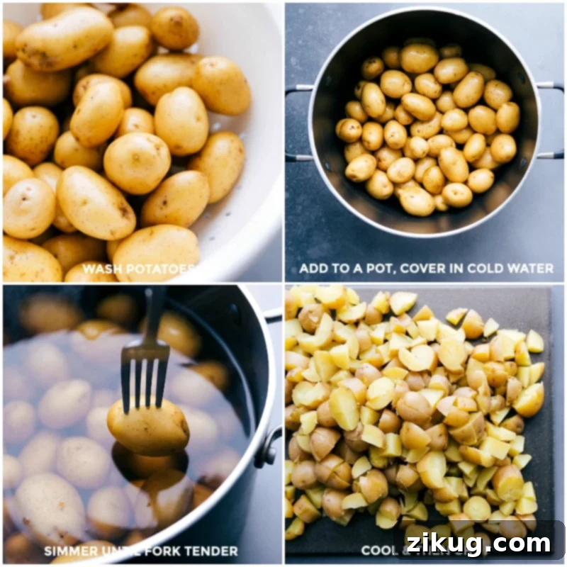 Potato Salad Prep: From Washing Potatoes to Simmering, Cooling, and Chopping Washing Yukon gold potatoes, then simmering them in a pot until fork-tender, followed by cooling and chopping for this potato salad recipe.