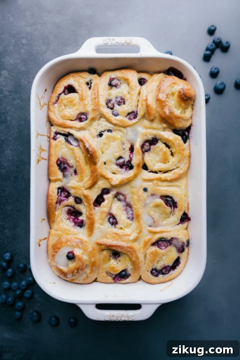 Delicious Lemon-Blueberry Sweet Rolls, Ready to Indulge In Scrumptious lemon-blueberry sweet rolls, a delectable pastry treat.