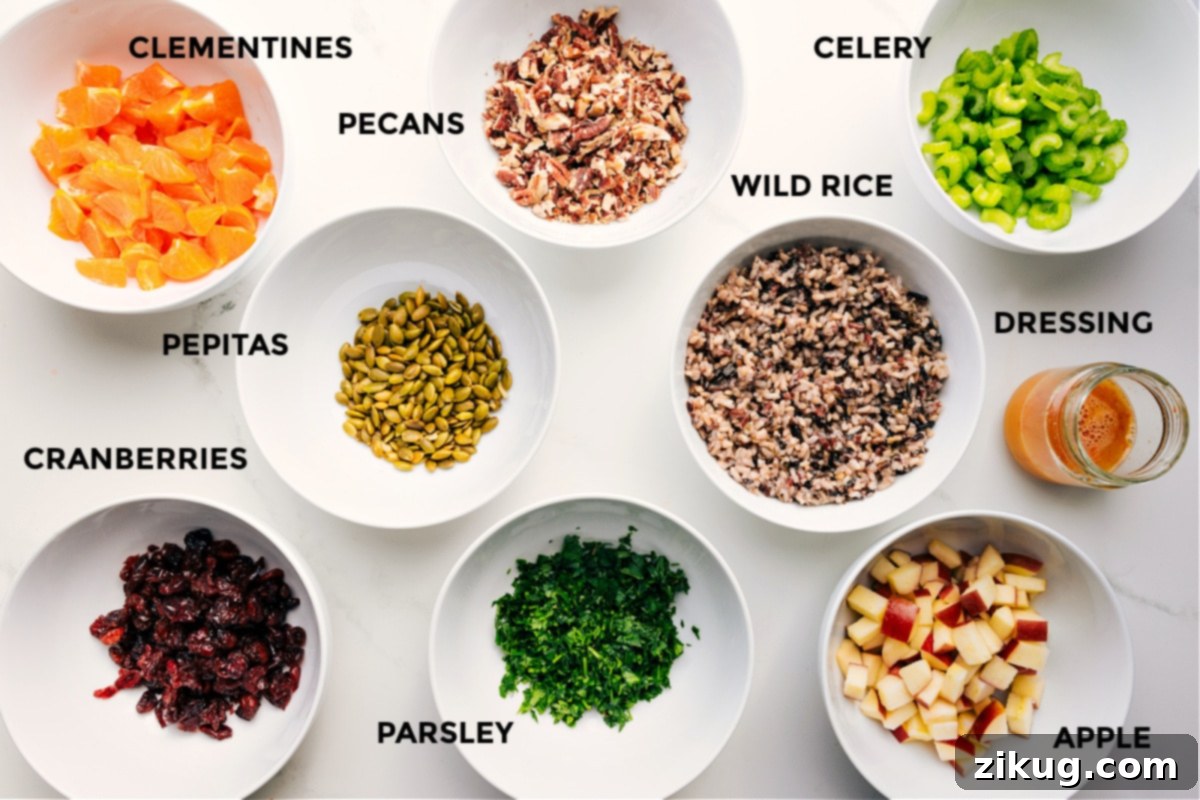 Key Ingredients For Your Wild Rice Pilaf A colorful array of ingredients for the Cranberry Orange Wild Rice Pilaf, neatly prepped and arranged, including clementines, pecans, pepitas, dried cranberries, fresh parsley, wild rice blend, a crisp apple, and thinly sliced celery.