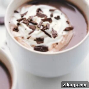 Delicious Hot Cocoa: A Winter Warmer 7 img 236381 11