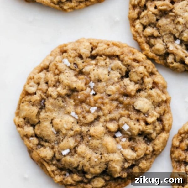 Oatmeal Cookies