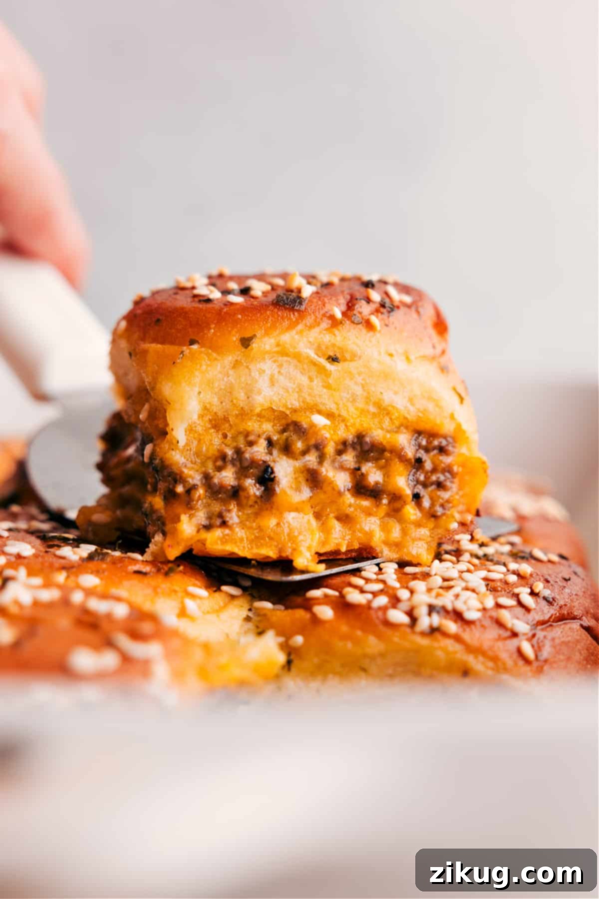 img 237578 1