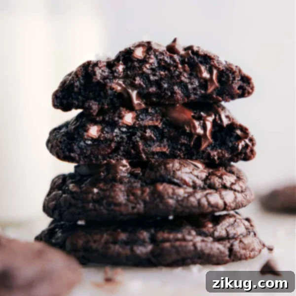 Chocolate Cookies Recipe