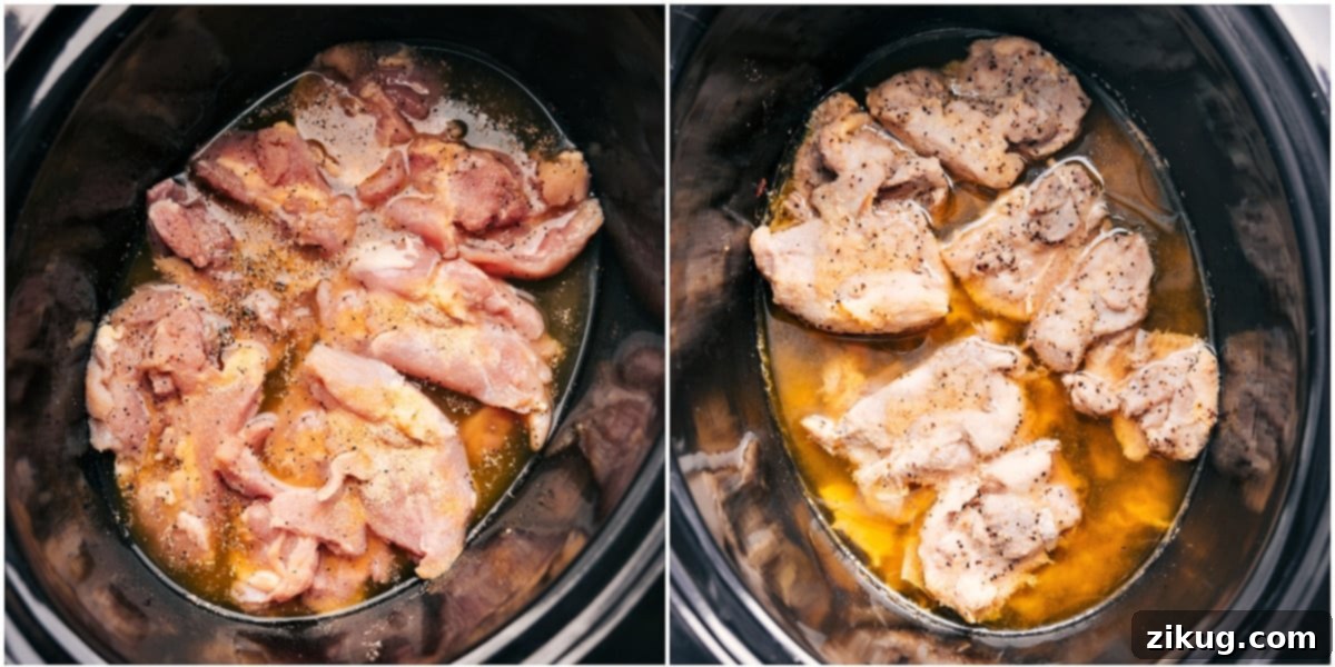 Slow Cooker Shredded Chicken Ingredients