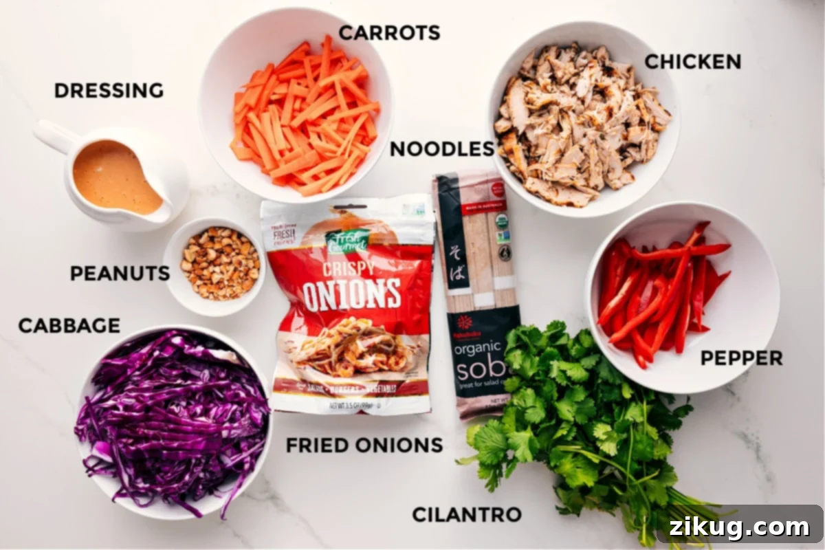 Ingredients In Soba Noodle Salad Recipe All the ingredients in this recipe prepped out for easy assembly including the dressing, peanuts, cabbage, fried onions, carrots, noodles, chicken, pepper, and cilantro.