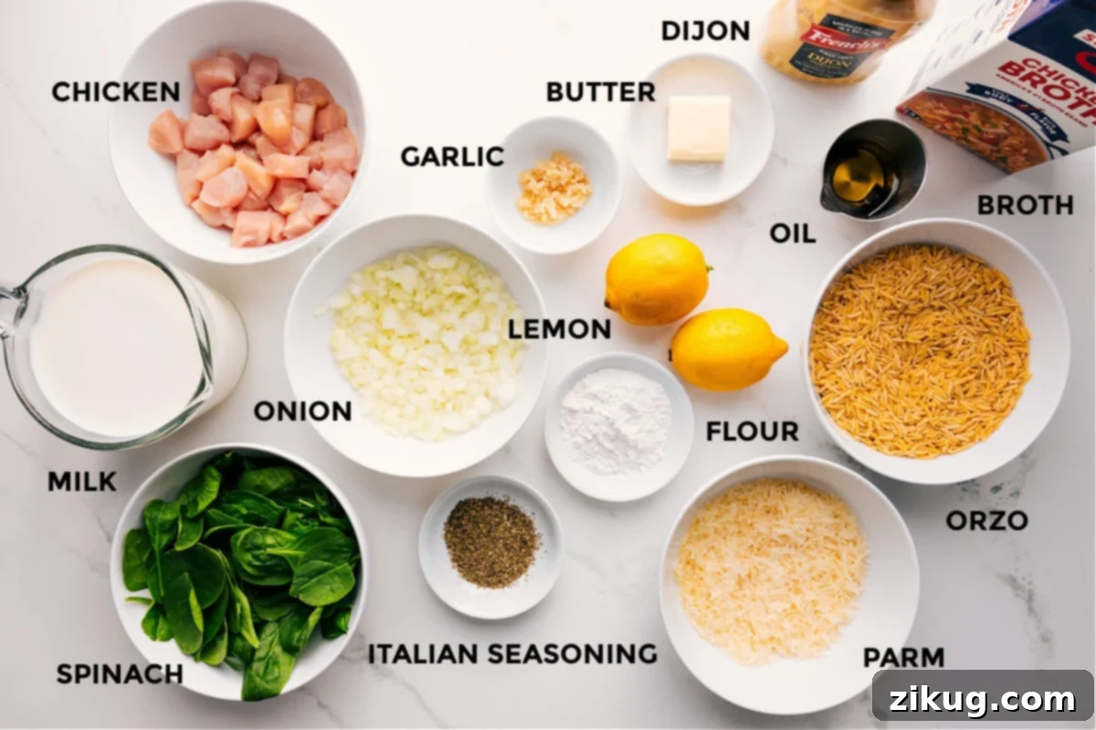Ingredients In Lemon Chicken Orzo Recipe Ingredients for Lemon Chicken Orzo Recipe