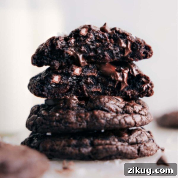 Chocolate Cookies
