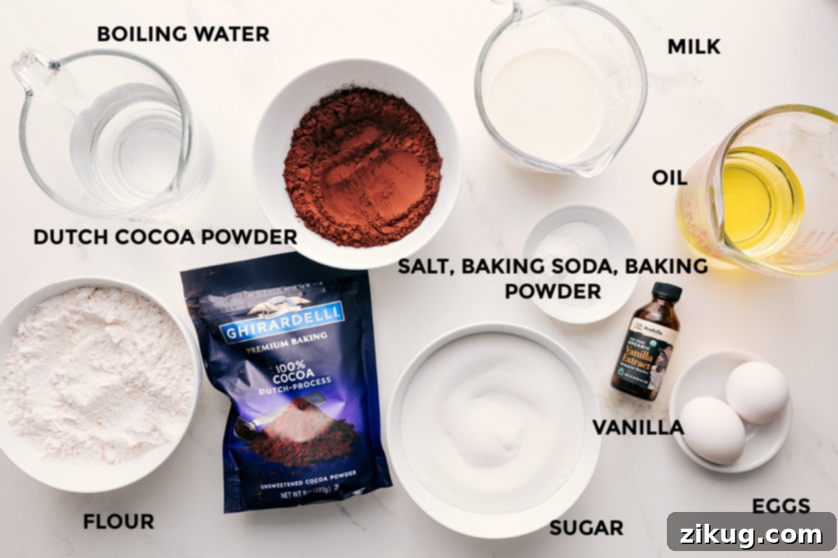 Ingredients In This Chocolate Cake Recipe Ingredients for Chocolate Cake Recipe