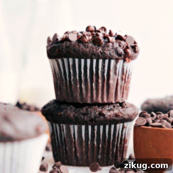Chocolate Muffins