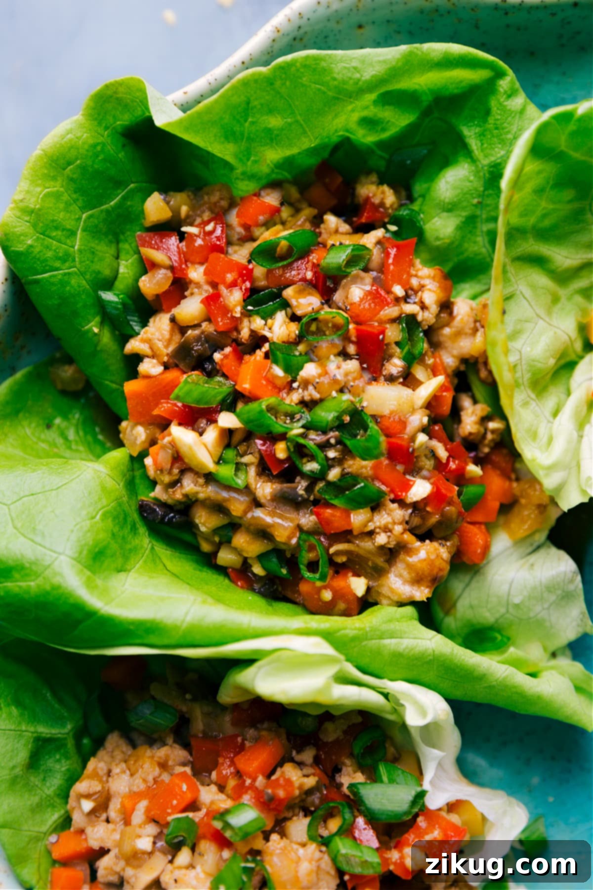 Fresh And Flavorful Lettuce Wrap Recipe Delicious Lettuce Wrap Recipe topped with fresh green onions and sesame seeds.