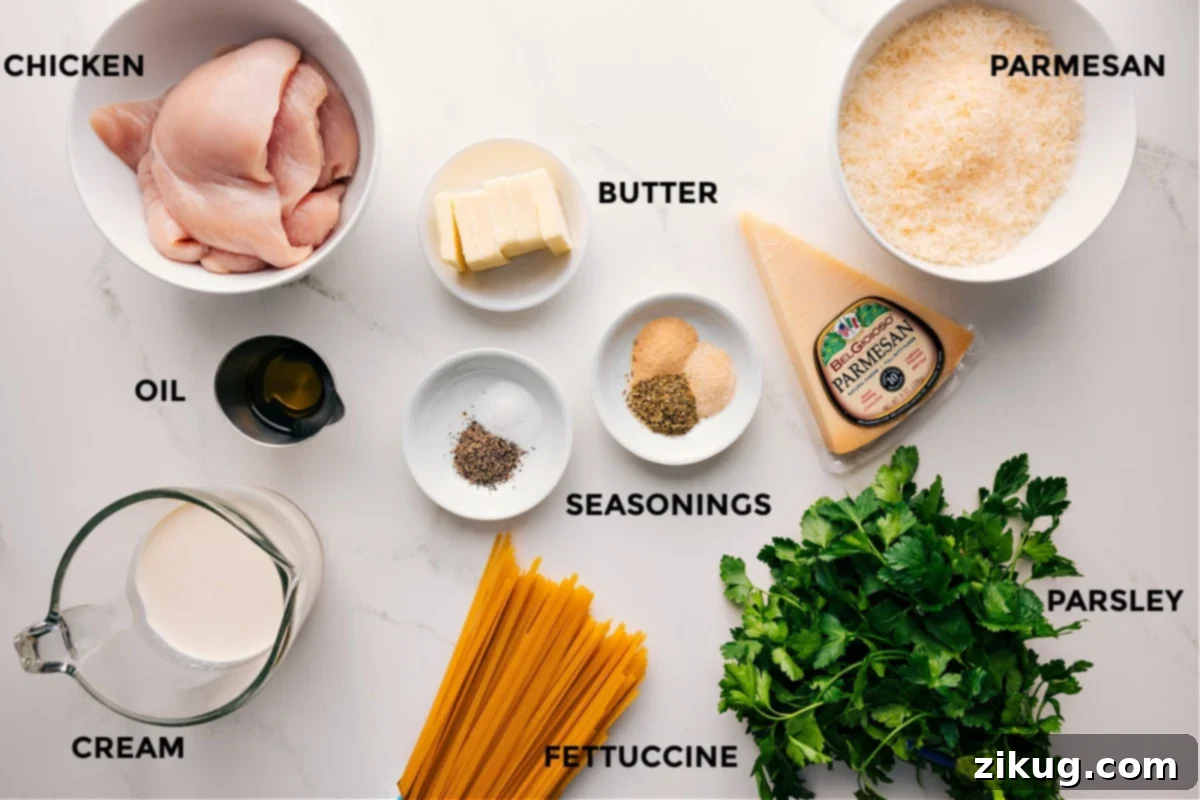 Deliciously Creamy Chicken Alfredo 4 Creamy Chicken Alfredo ready to be served