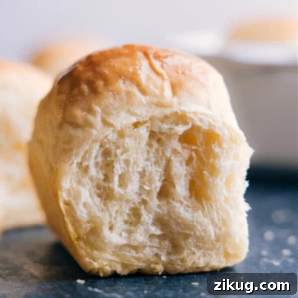 Dinner Rolls