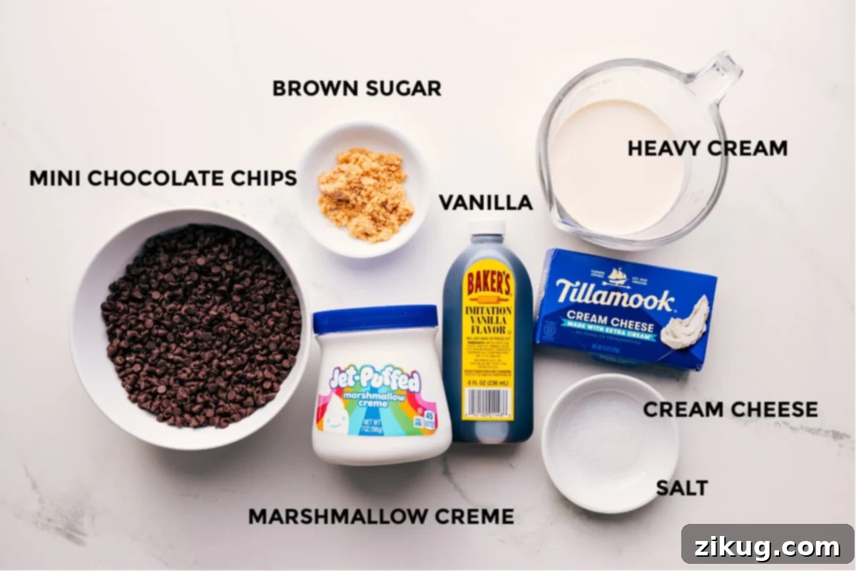 Ingredients In Chocolate Chip Dip All the essential ingredients for making chocolate chip dip, including cream cheese, marshmallow creme, heavy cream, vanilla extract, brown sugar, salt, and mini chocolate chips, neatly prepped for easy assembly.