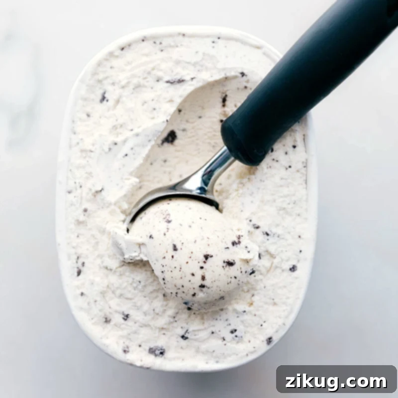 Scooping Cookies and Cream Ice Cream for Cake Layers A large container of cookies and cream ice cream with a scoop partially submerged, ready to be spread onto the ice cream sandwich layers for the cake.