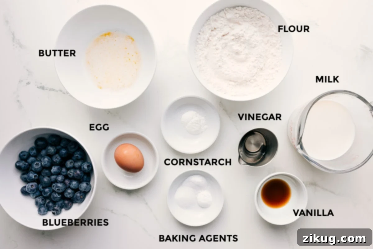 Ingredients In Blueberry Pancake Recipe All the essential ingredients for this blueberry pancake recipe, neatly prepped and laid out for easy assembly, including fresh blueberries, butter, egg, baking powder, baking soda, cornstarch, flour, milk, and vanilla extract.