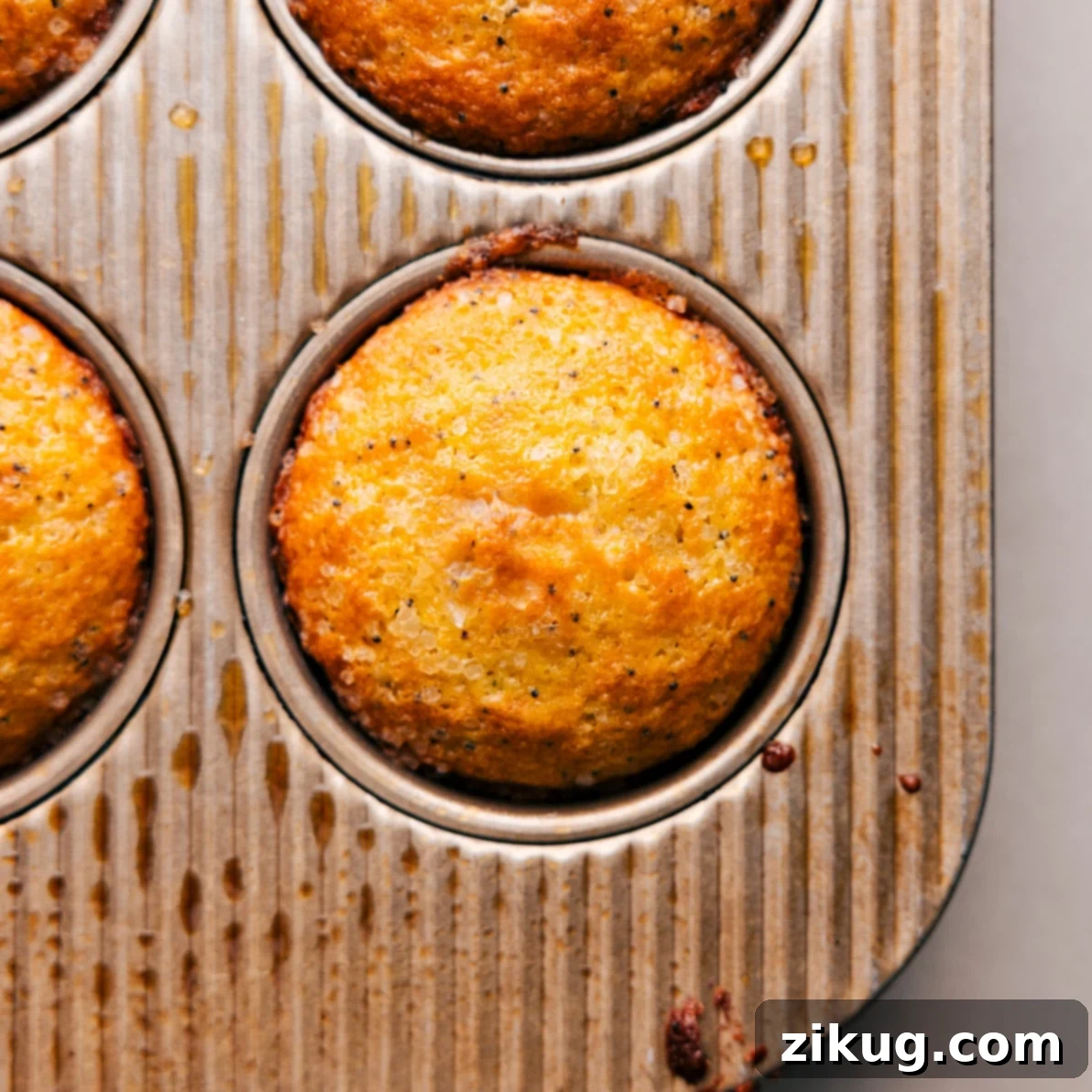Warm, golden-brown lemon poppy seed muffins, freshly baked and ready to be glazed or enjoyed as is. A tray of golden-brown, freshly baked lemon poppy seed muffins, just removed from the oven and cooling.