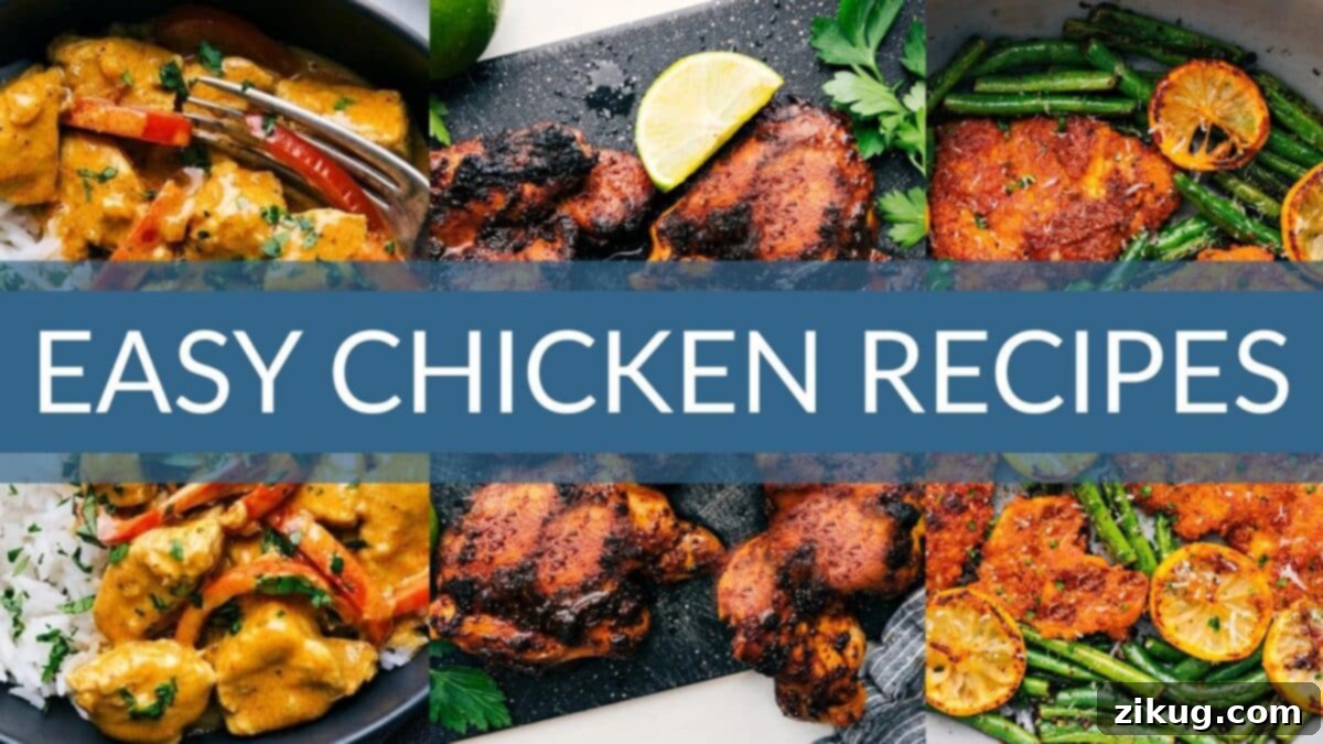 40+ Easy Chicken Recipes for Every Occasion A vibrant collection of 40 easy chicken recipes, showcasing diverse and delicious meals like crispy tacos, saucy stir-fries, and comforting bakes.