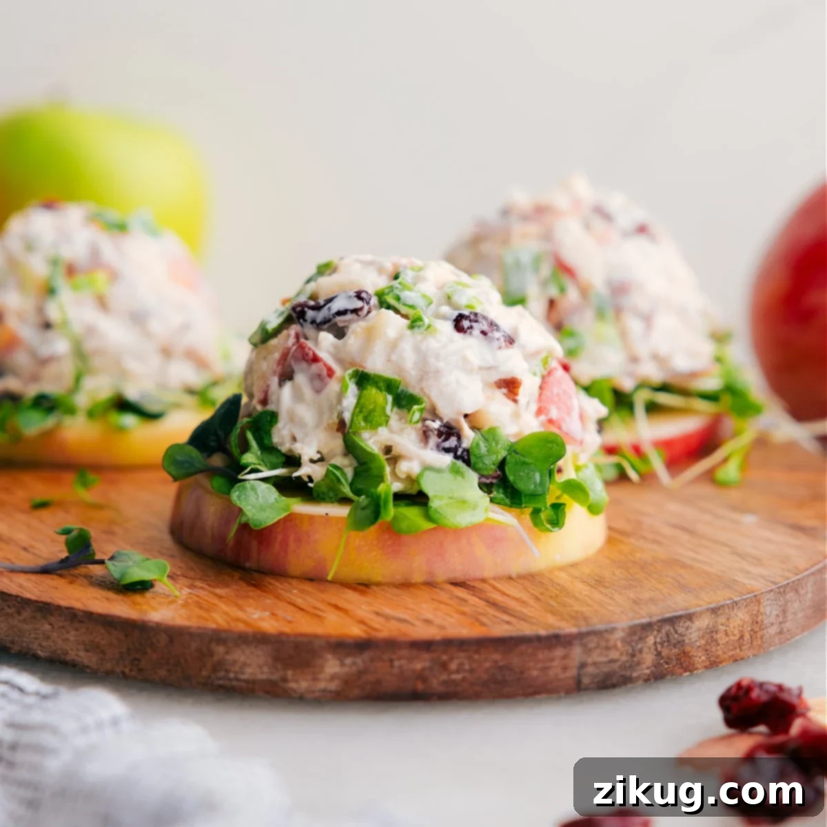 Creamy Chicken Salad with Apples A refreshing chicken salad with crisp apples, tender rotisserie chicken, and a creamy dressing, ideal for sandwiches or light meals.