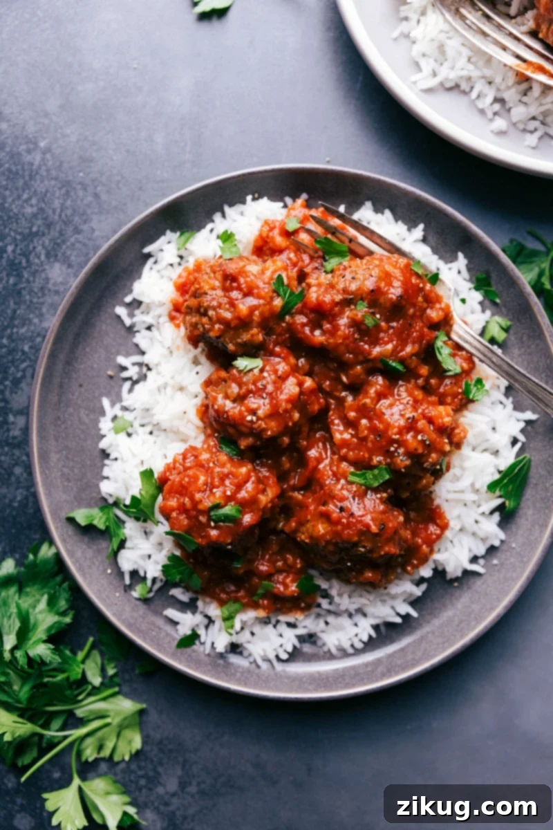 Porcupine Meatballs On A Bed Of Rice Hearty Porcupine Meatballs served over a comforting bed of rice, garnished with fresh herbs.