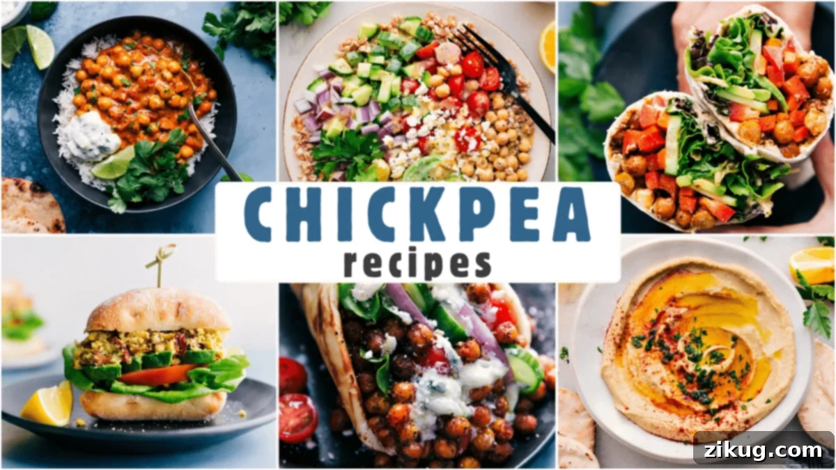 24 Easy Chickpea Recipes A vibrant collage showcasing various chickpea dishes like salads, curries, and bowls, highlighting the versatility of chickpea recipes.