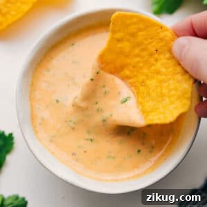 Authentic Mexican Queso Dip Recipe for Parties and Game Day 7 img 251307 11