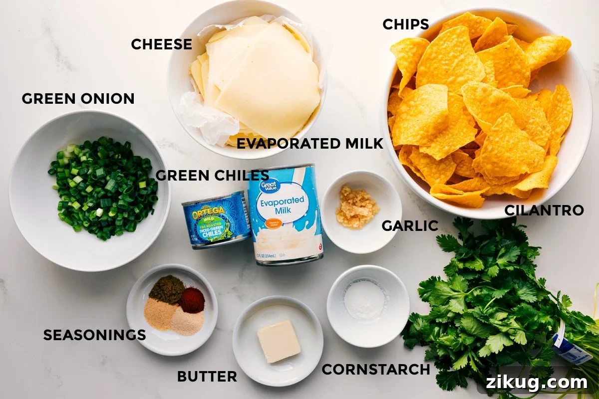 Ingredients In This Queso Recipe All the ingredients in this recipe prepped out for easy assembly including the green onions, seasonings, butter, cornstarch, cilantro, garlic, evaporated milk, green chiles, and cheese.