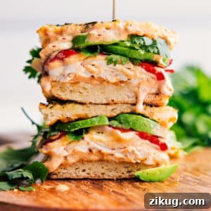 Panera Chipotle Chicken Avocado Melt Recipe & Copycat Guide 3 img 253975 9