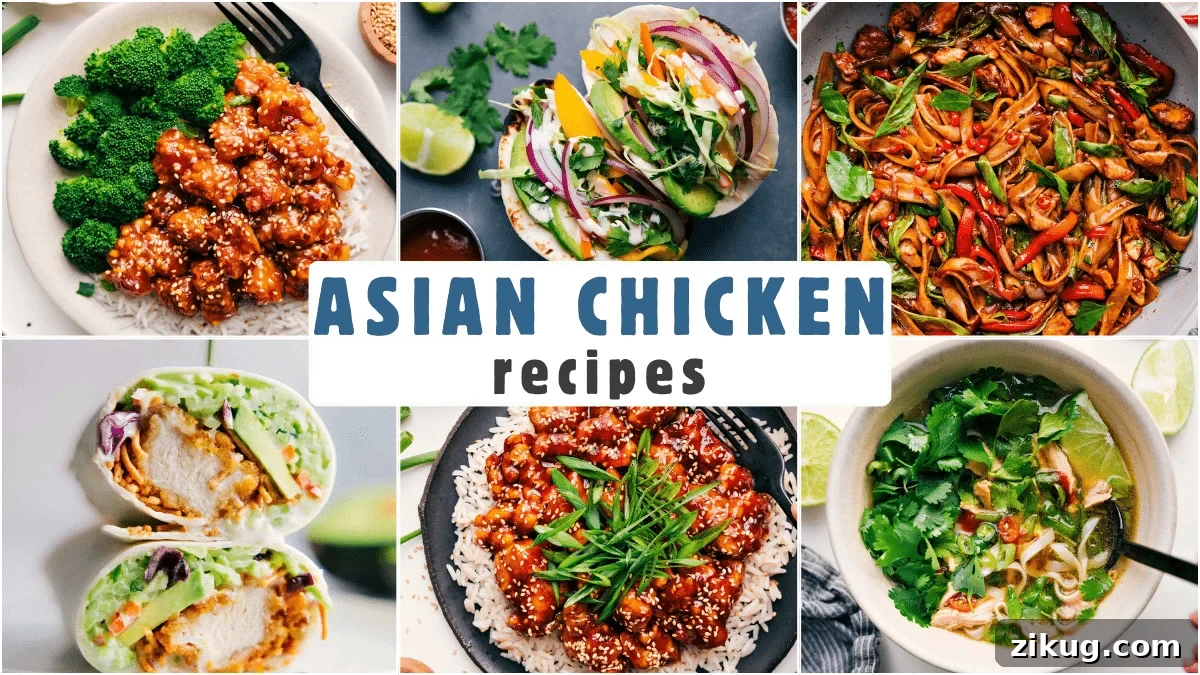 26 Easy Asain Chicken Recipes Asian chicken recipes roundup collage.