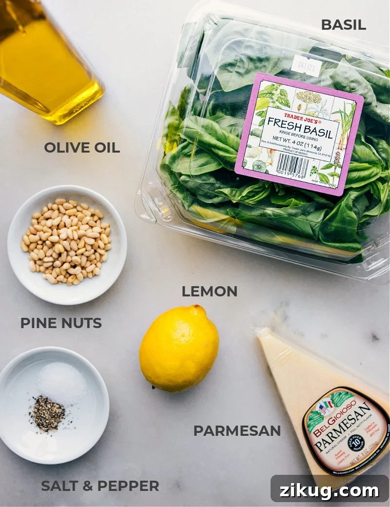 Ingredients for the pesto recipe. Ingredient shot-- image of all the ingredients used in this Pesto Recipe
