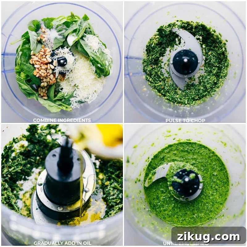 Pulsing ingredients together in a food processor. Process shots of Pesto Recipe-- images of all the ingredients being combined in a food processor and it all being pulsed together