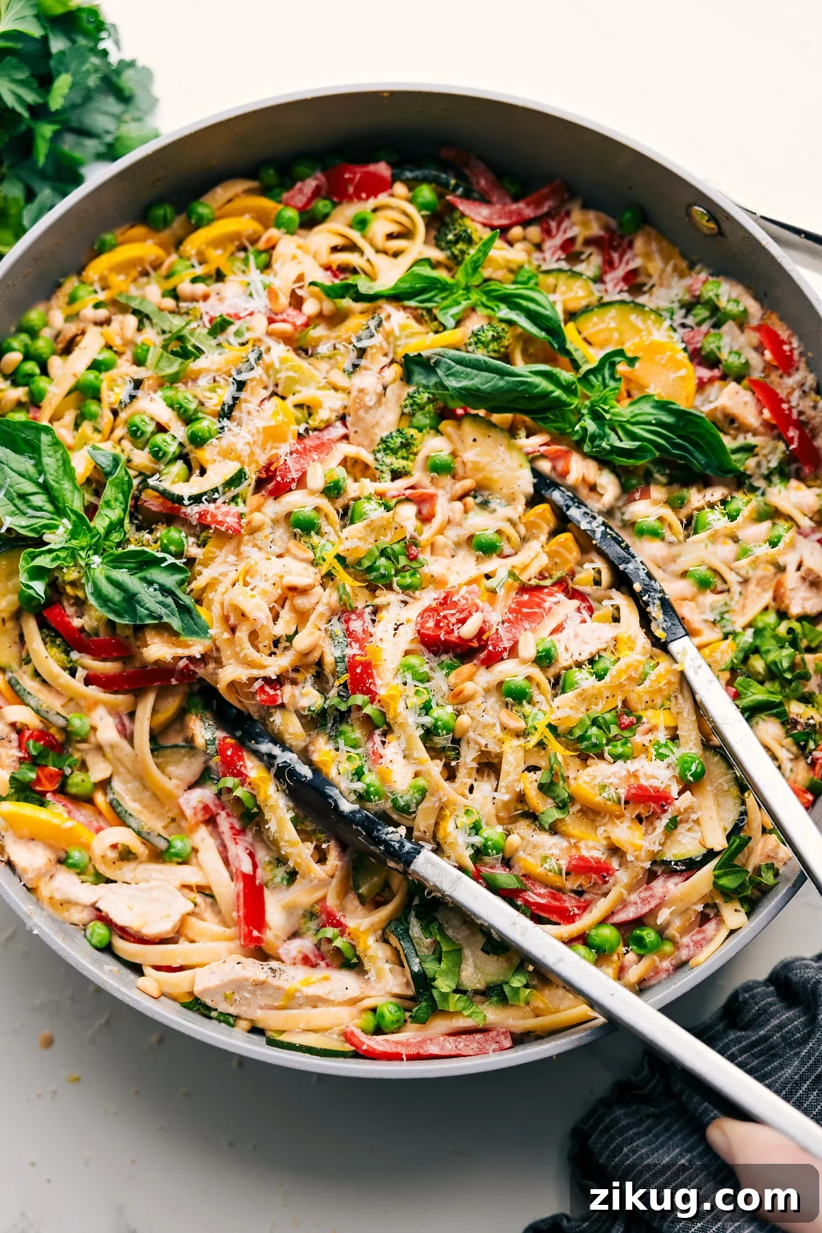 Chicken Primavera Chicken primavera with creamy pasta, fresh vegetables, chicken, and basil.