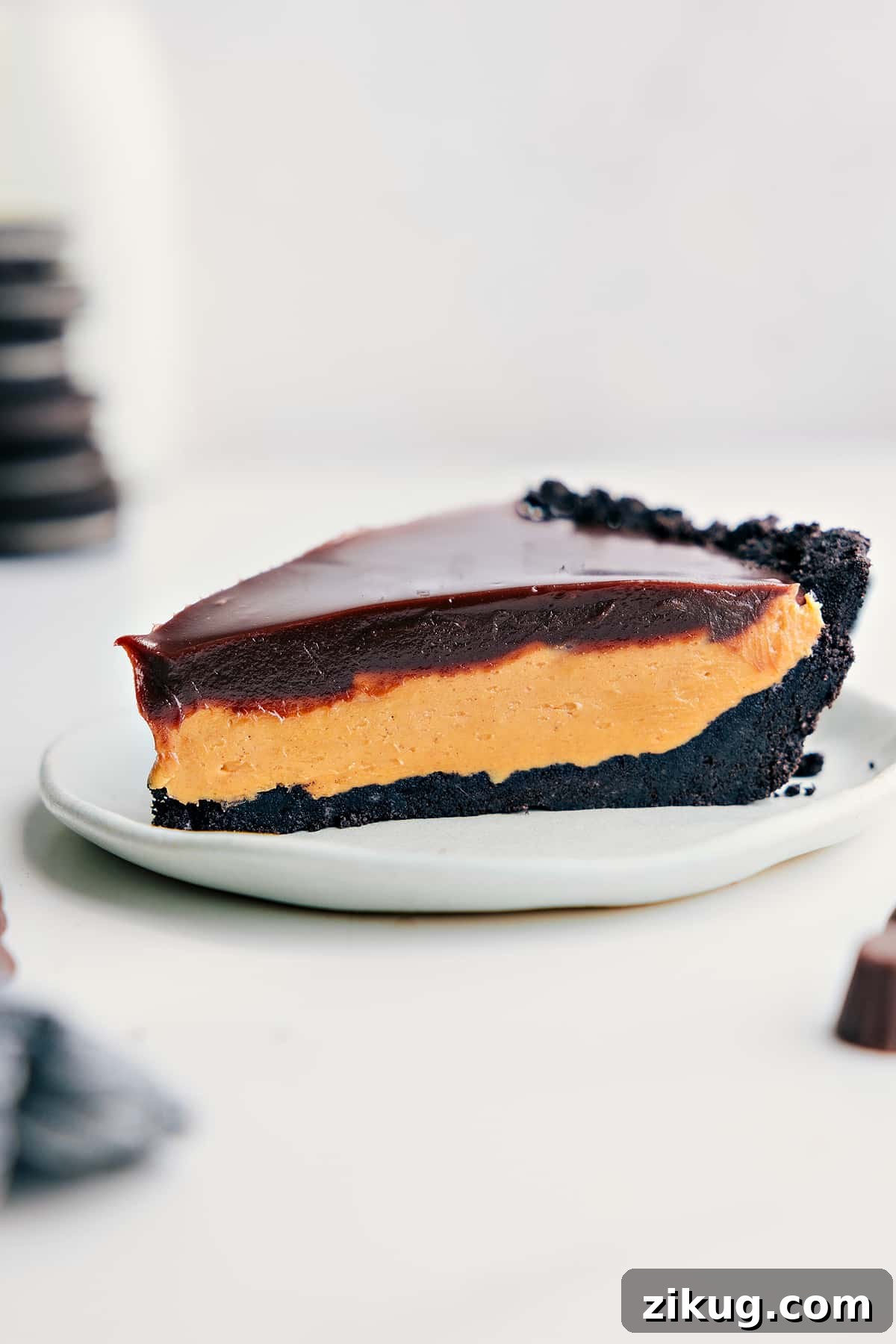 Slice Of This Chocolate Peanut Butter Pie Recipe Chocolate Peanut Butter Pie Recipe slice on a plate ready to be enjoyed.