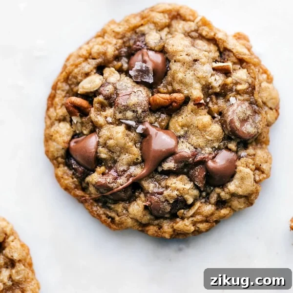 Freshly baked oatmeal pecan cookie.
