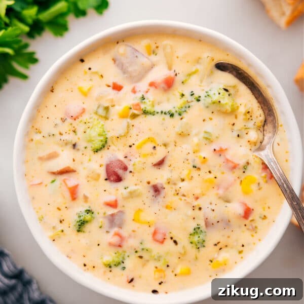 Creamy Vegetable Soup