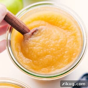 Homemade Applesauce Recipe: Stovetop or Slow Cooker Options 7 img 264904 11