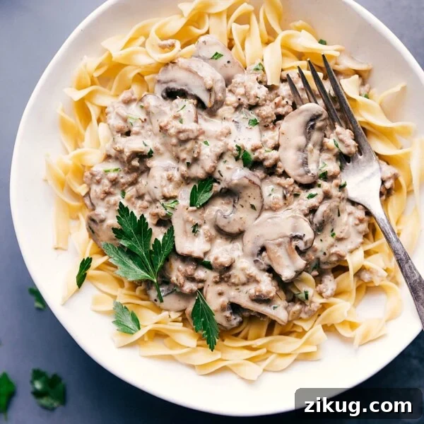 Fragrant Curry Broth for Soups and Noodles 7 Ground beef stroganoff served over tender egg noodles.