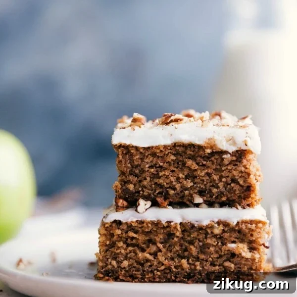 Cinnamon Apple Nachos with Caramel Drizzle 10 Two slices of delectable applesauce cake stacked and ready to be savored.