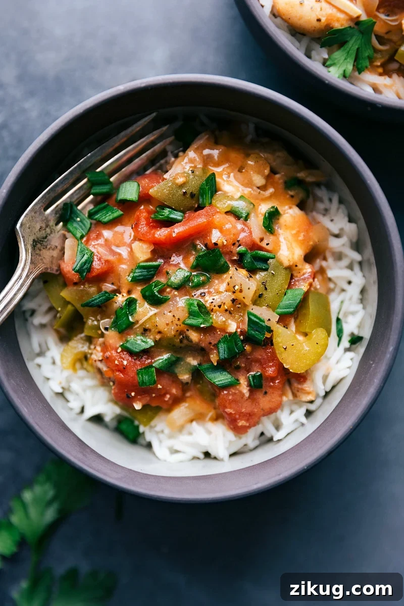 Middle Eastern Ground Beef Bowls Easy crockpot meals featuring Cajun chicken with tender vegetables and a flavorful broth served over rice.