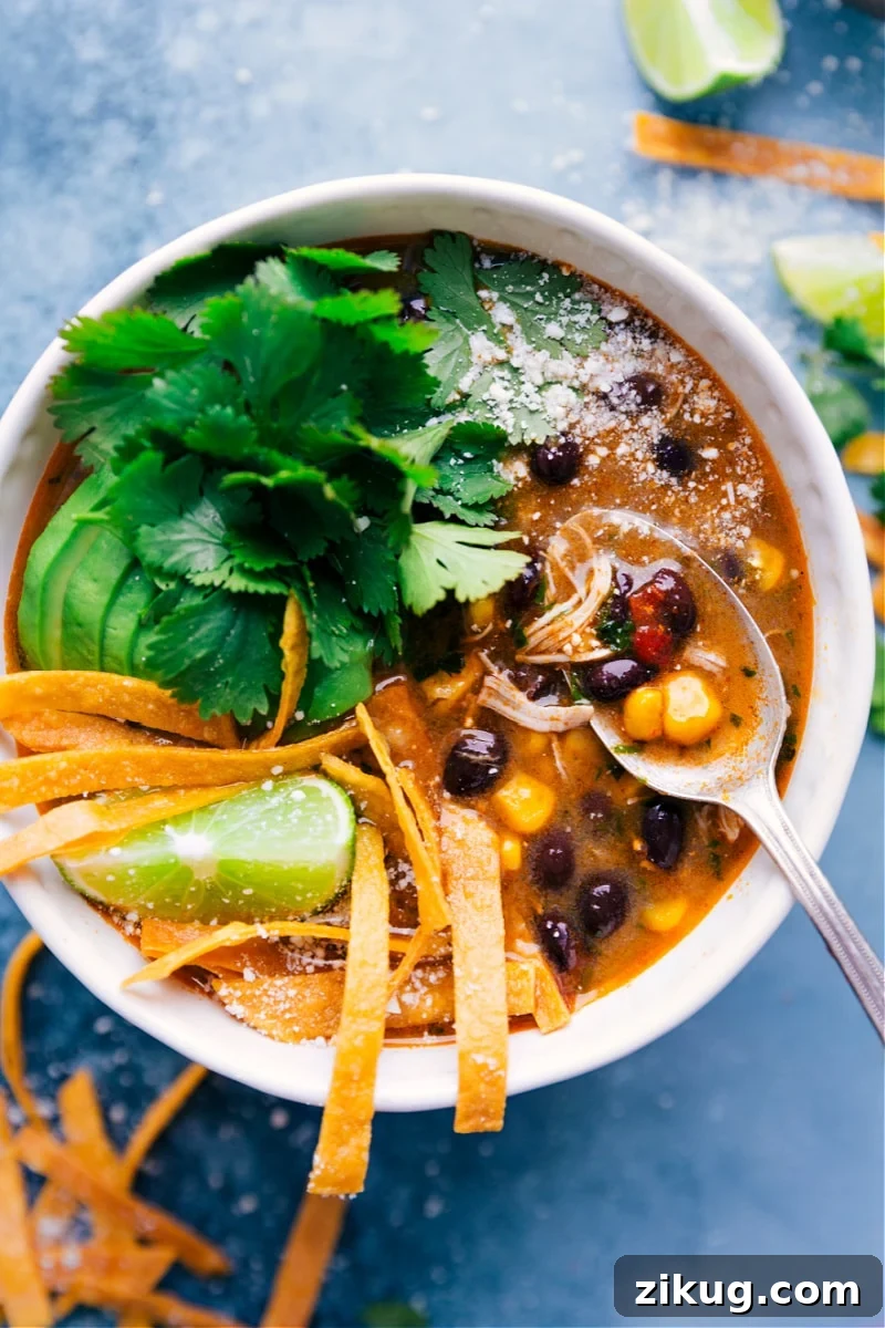Ground Beef Taco Bowls Salsa Verde Chicken Soup with shredded chicken, beans, corn, and salsa verde.