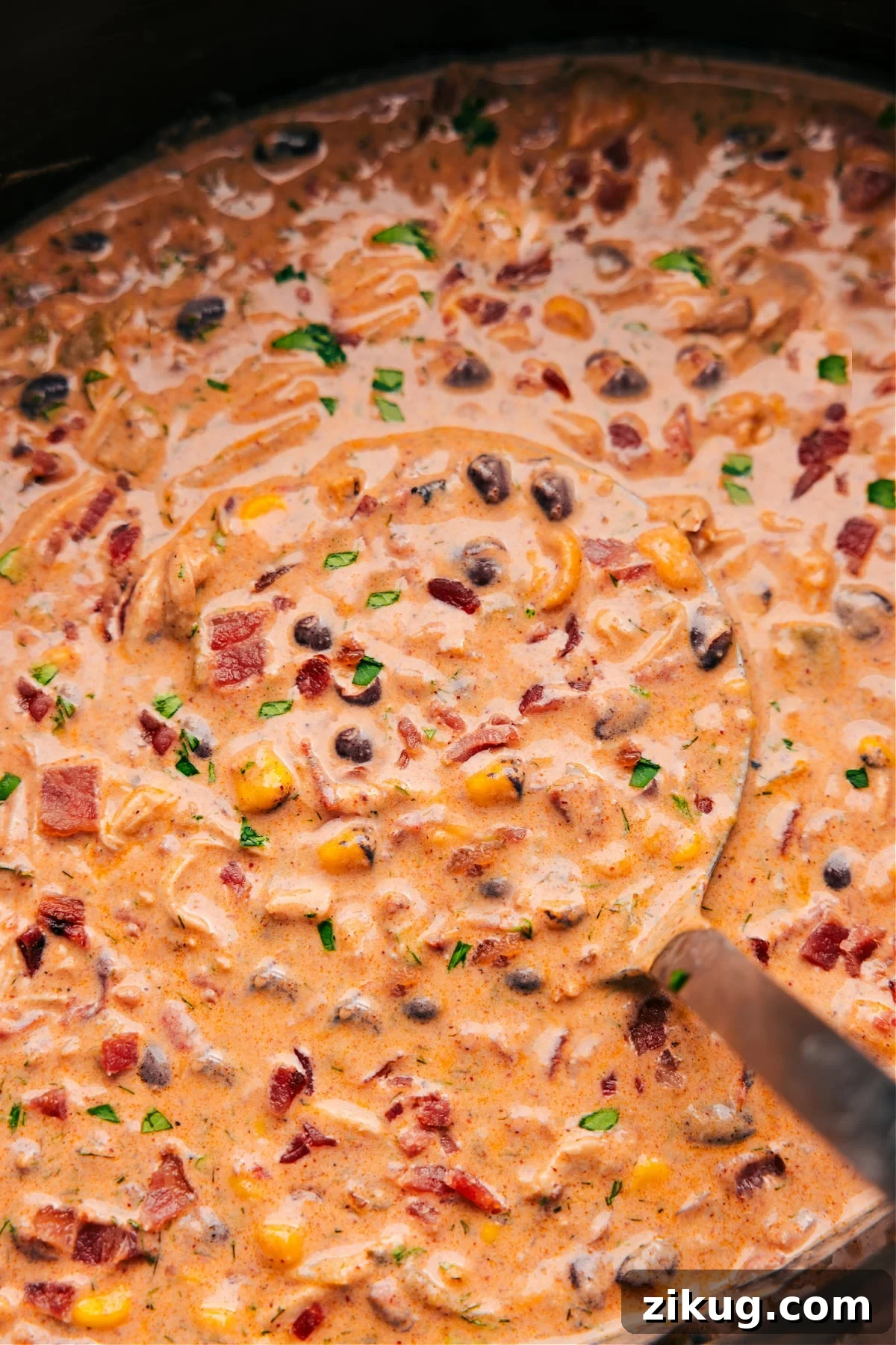 Beef Burrito Bowl Easy crockpot meals featuring creamy Crack Chicken Chili with shredded chicken, bacon, ranch, and cheese.